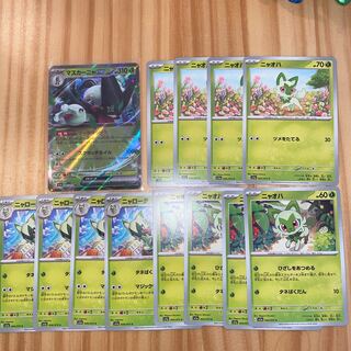 Mascagna ex RR Evolution line