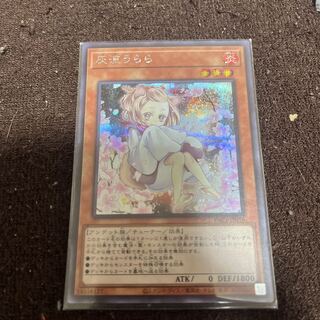 Ash Blossom & Joyous Spring