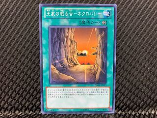 Agonouchi] Yu-Gi-Oh, The Valley of the Sleeping Kings - Necro Valley Normal
