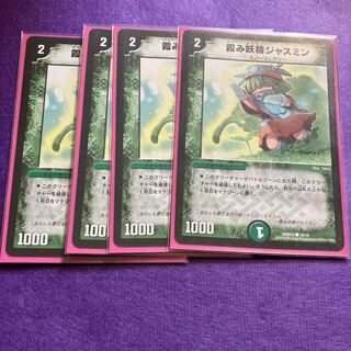 Hazy Fairy Jasmine C 18/19