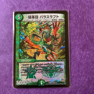 侵革目 パラスラプト 1枚の通販 屋号（636955283） | magi