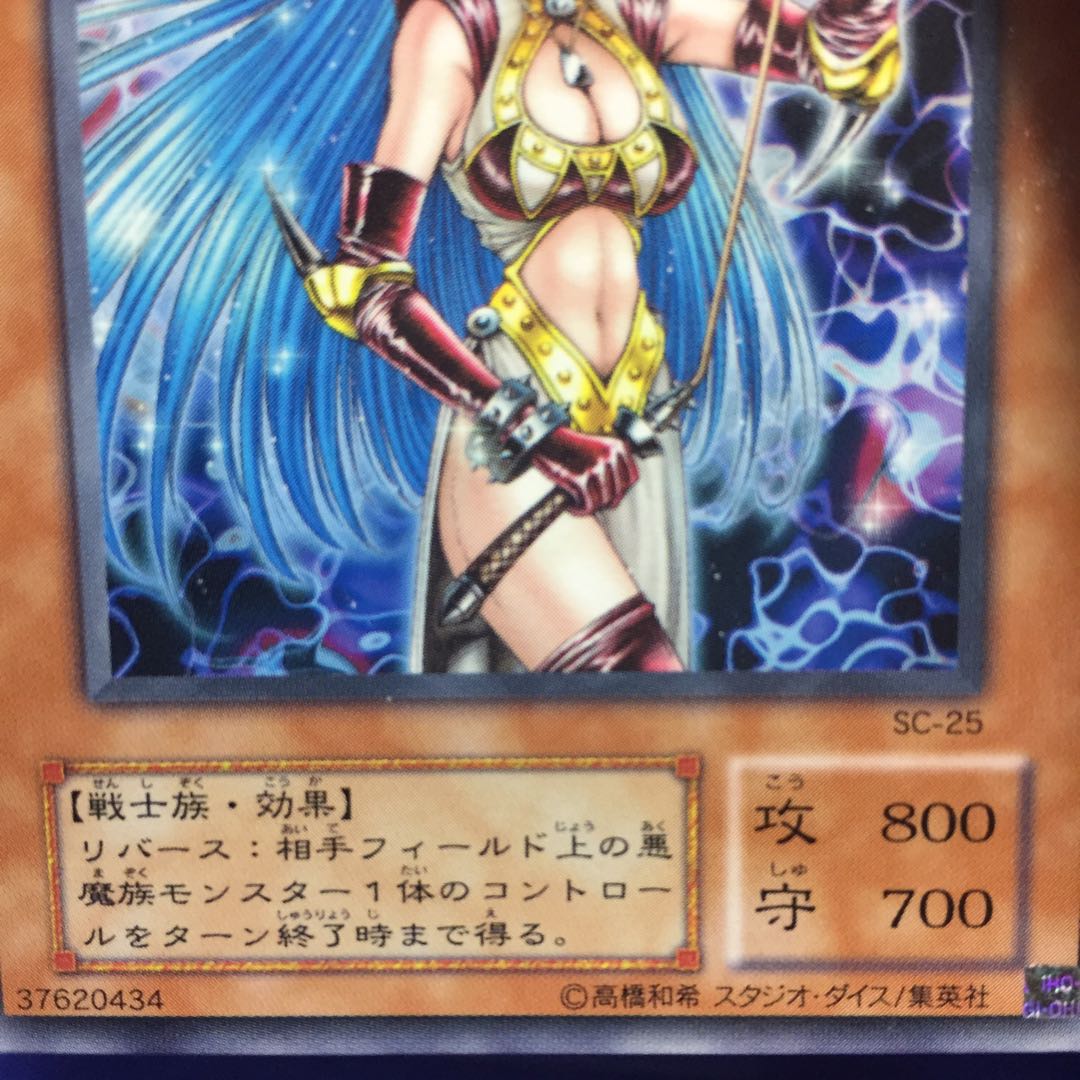 デーモン・テイマー SC-25 R