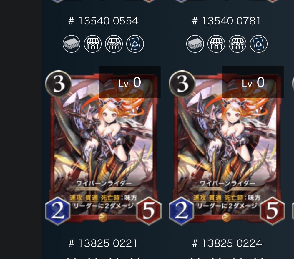 ワイバーンライダー二枚セット