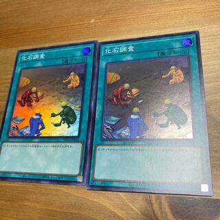 Fossil Dig 2 Super Rare