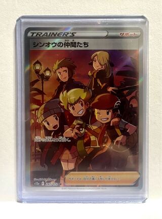 Shin-Oh's friends SR 247/172