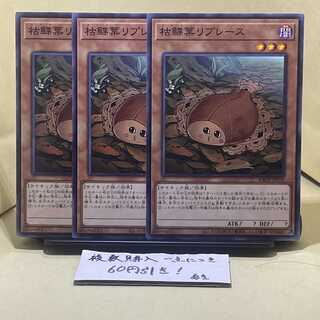 Karei Kareiha Replaces Normal JP029