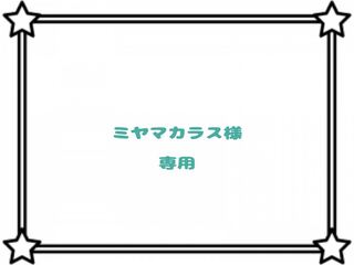 【ミヤマカラス様】専用出品