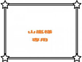 【山嵐様】専用出品