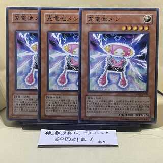 Batteryman Charger Normal