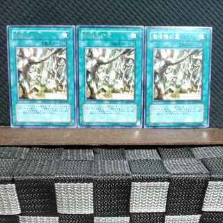 【ぽぽたん】遊戯王  #1930  魔法族の里  レア  3枚