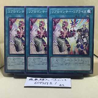 Ribromancer Realize Normal JP024