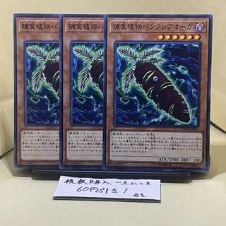 Predaplant Banksiogre Normal