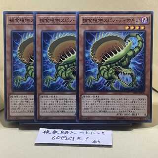 Predaplant Spinodionaea Normal