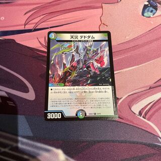 天災 デドダム R 33/75