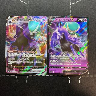 Kokuba Budrex V Evolution Line