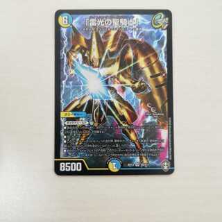 「雷光の聖騎士」ライトニング・ソードパラディン