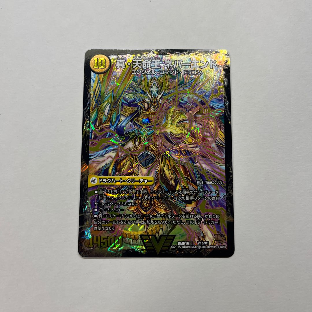 True Sacred Church Endless Heaven｜True Heavenly King Never End