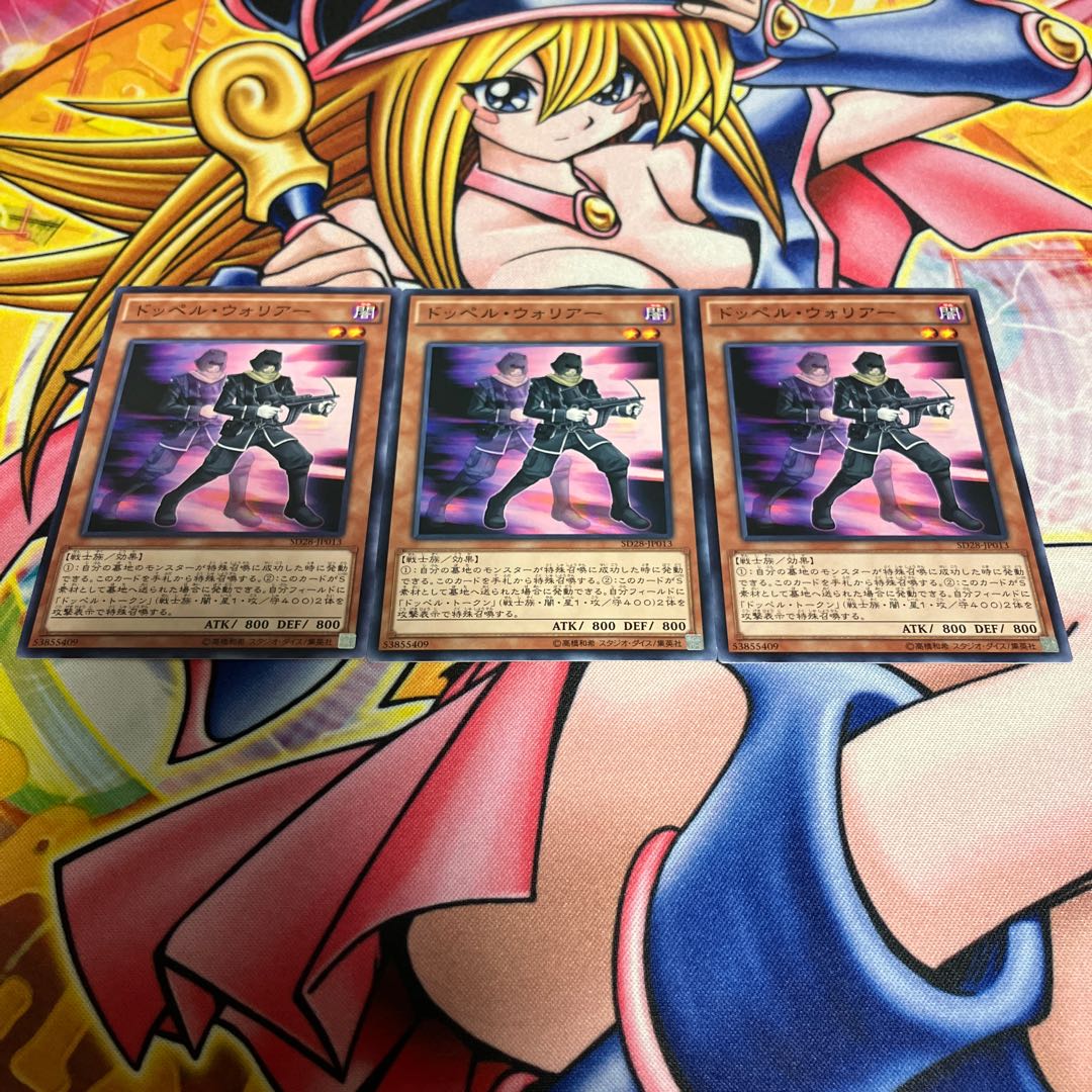 Doppelwarrior Normal JP013