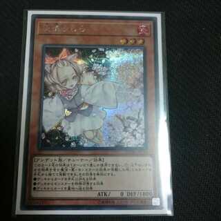 灰流うらら シク