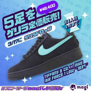 Tiffany x Nike Air Riryoku1 Low "1837" Black/Tiffany Snubbull DZ1382-001 23cm