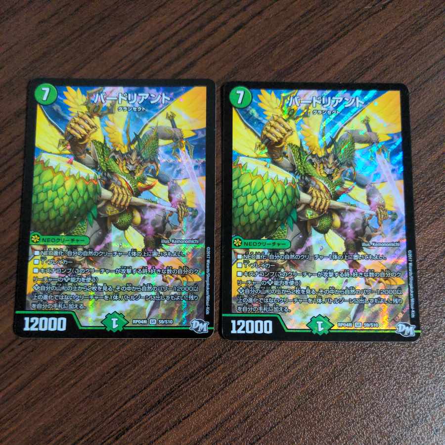 バードリアント SR S9/S10 1枚