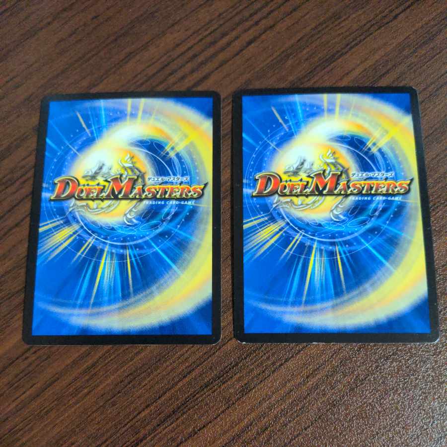 バードリアント SR S9/S10 1枚