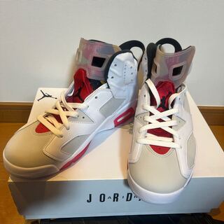 Nike Air Jordan 6 "Neutral Grey/Hare" 28cm