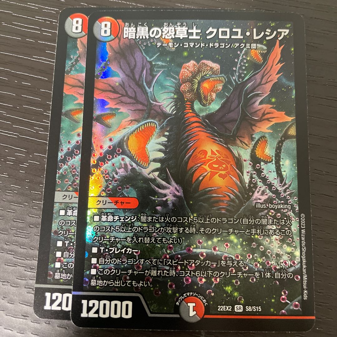 Darkness Grudge Grass Warrior Croyle Lecia SR S8/S15 Set of 2