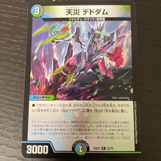 天災 デドダム R 33/75