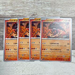 Pardea Tauros U 011/073