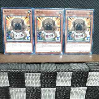 【ぽぽたん】遊戯王 1946  横綱犬  ノーマル  3枚