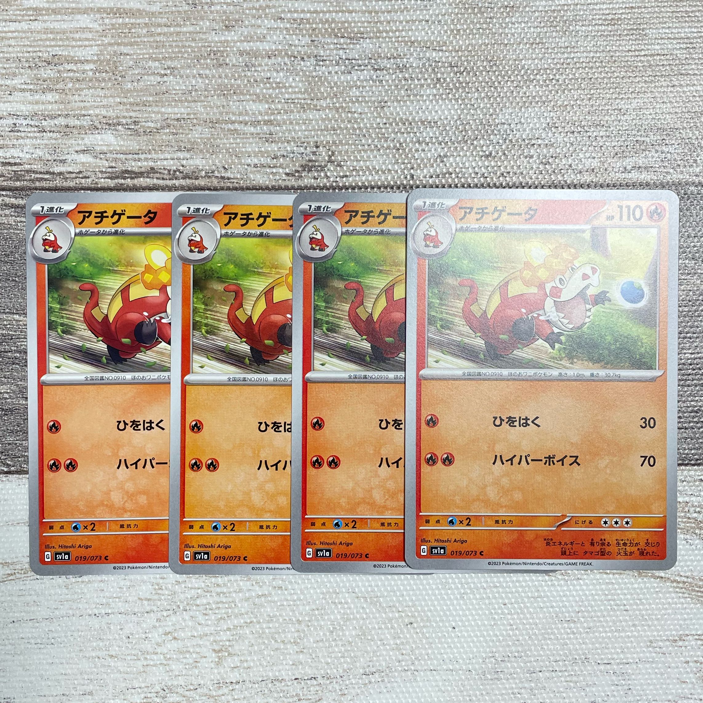 アチゲータ C 019/073