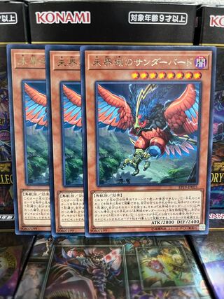 Yu-Gi-Oh Studio 2826 Danger! Thunderbird! Rare JP025