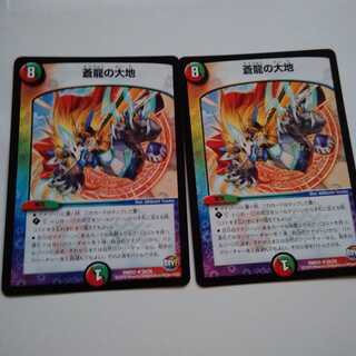 蒼龍の大地　2枚セット