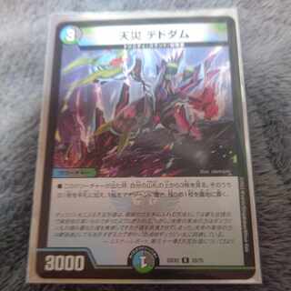 天災 デドダム R 33/75