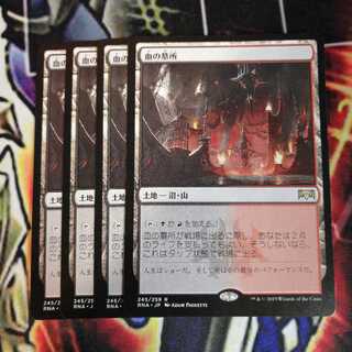 血の墓所 ４枚 RNA