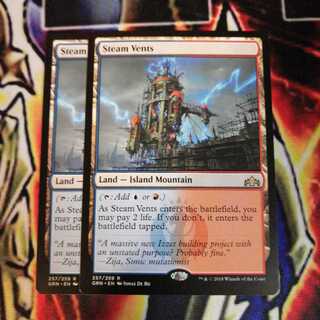 蒸気孔 ２枚 英語