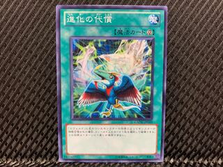 【アゴ之内】遊戯王 進化の代償 ノーマル
