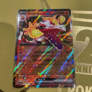 Loudborn ex RR 020/073