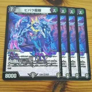 ビバラ龍樹 4枚