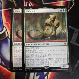 探索する獣 ２枚