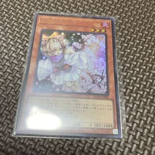 Ash Blossom & Joyous Spring Ultra Rare JP009