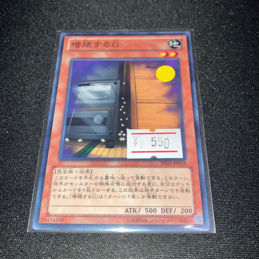 Maxx "C" Normal JP018 1 piece Special Price