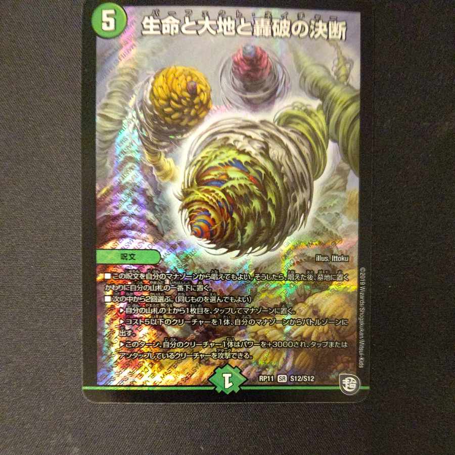 Life Life, Earth and Roaring Decision SR S12/S12