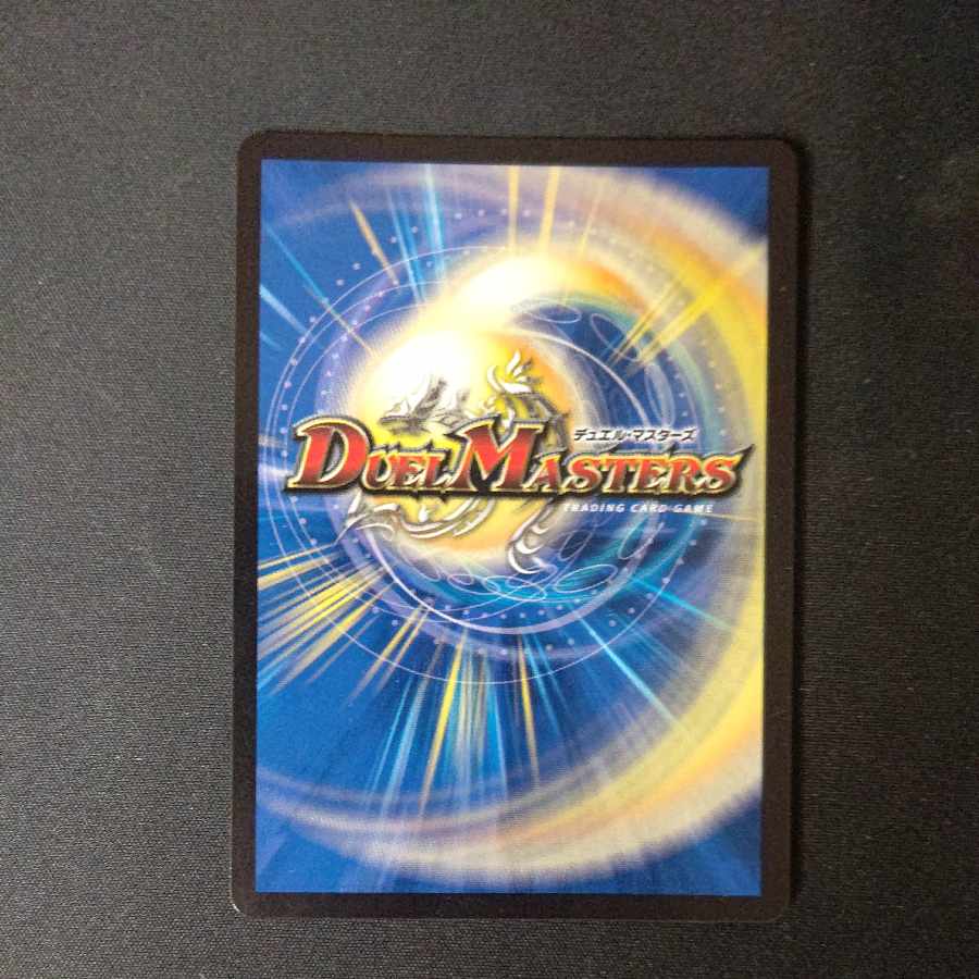 Life Life, Earth and Roaring Decision SR S12/S12