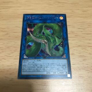 捕食植物ヴェルテアナコンダ　シークレット