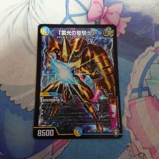 雷光の聖騎士 ライトニングソードパラディン