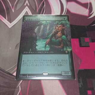 Immaculate Magistrate