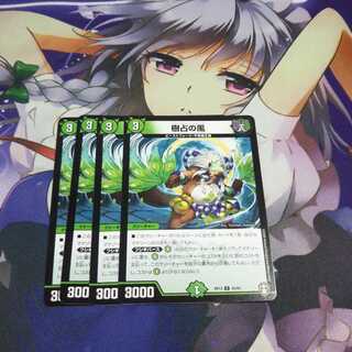 樹占の風 未使用