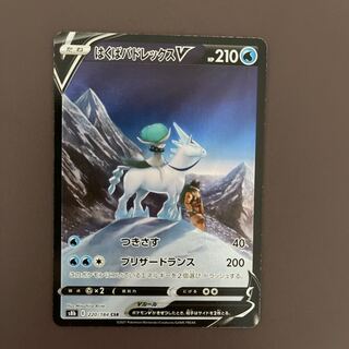 Hakuba Budrex V] CSR